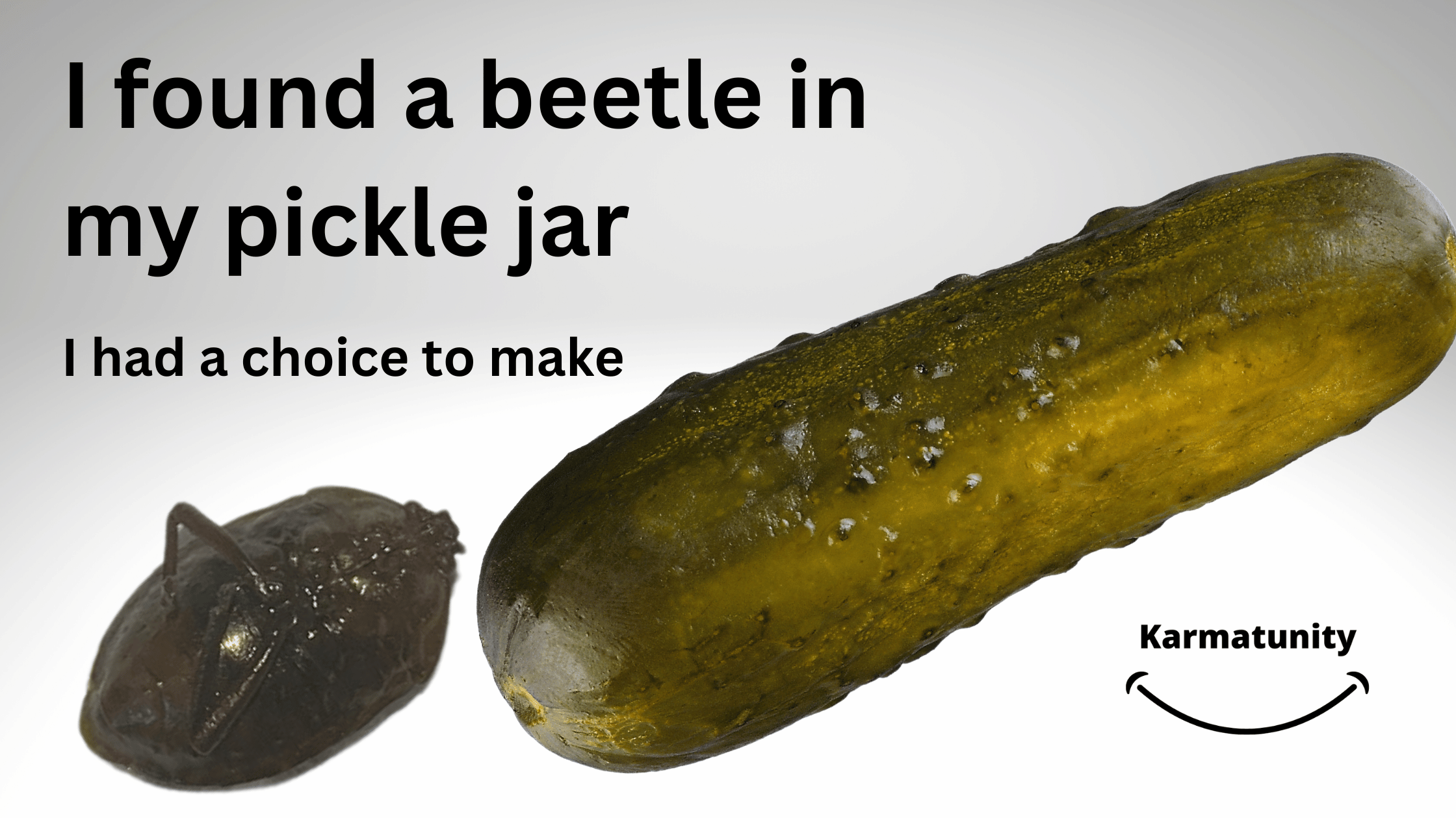 I found a beetle in my pickle jar – I had a choice to make